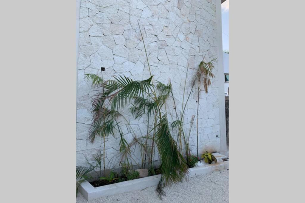 Appartement Baona Bacalar Extérieur photo